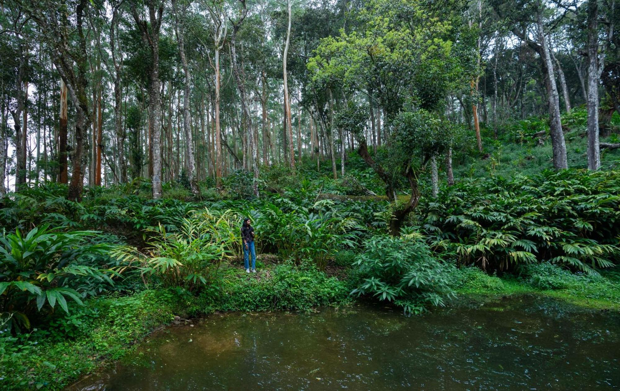 Fort Munnar Chinnakanal Dış mekan fotoğraf